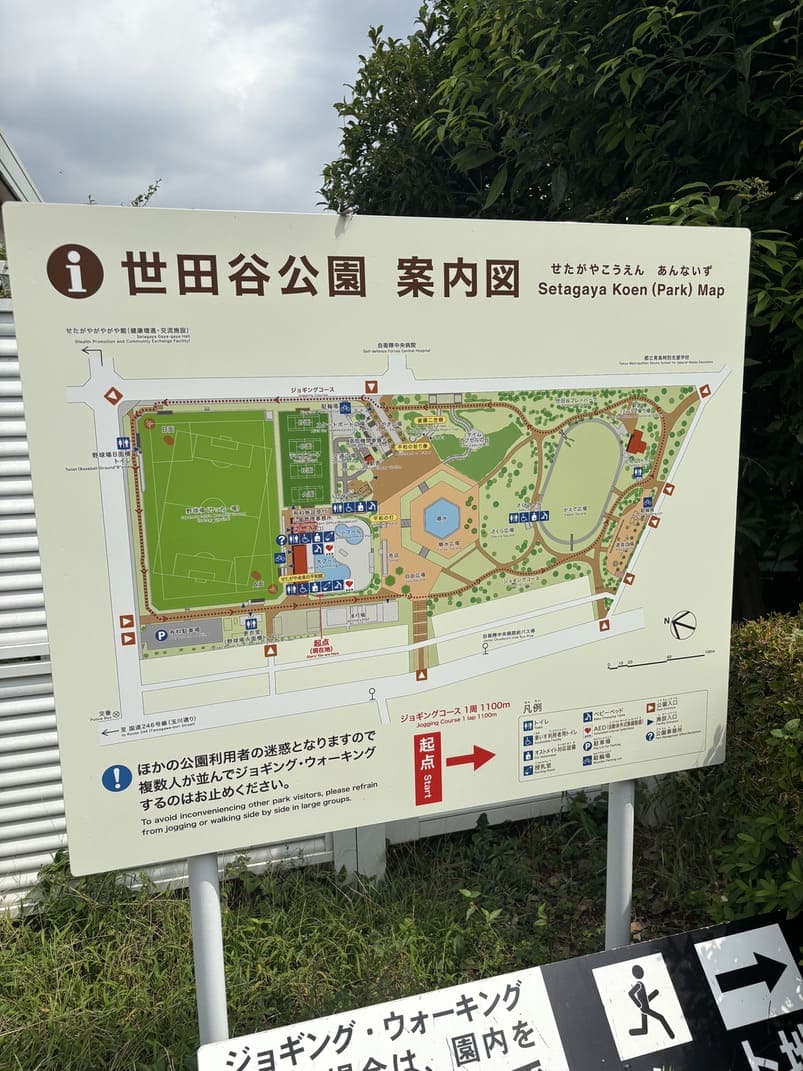 シニア世代が楽しめる世田谷公園の一日｜健康的な街歩き