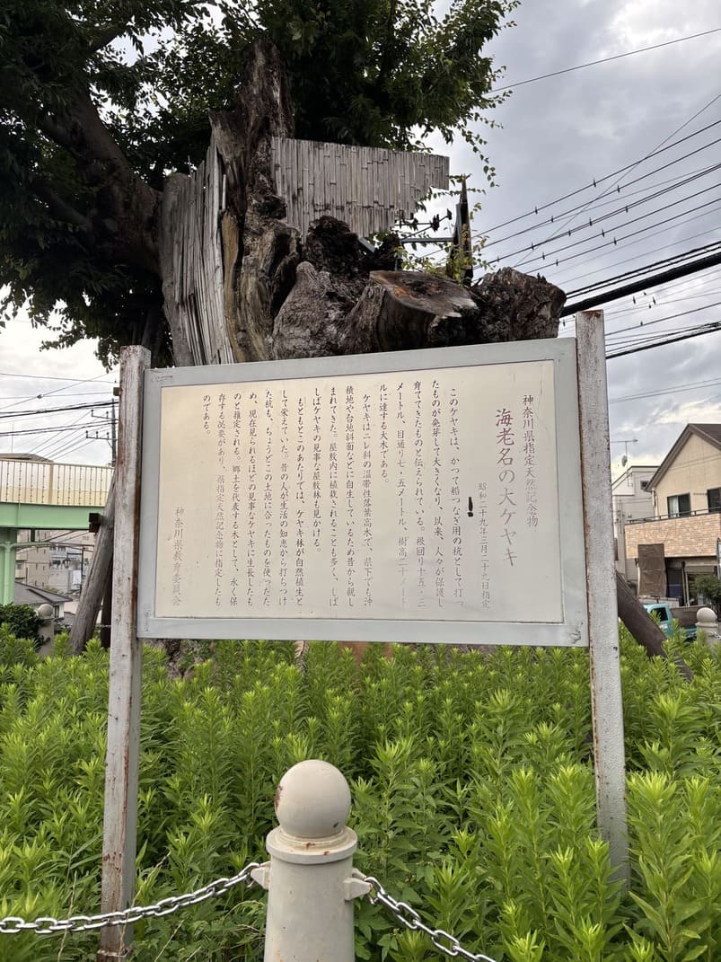 神奈川県の海老名の歴史を感じる謎解きスポット