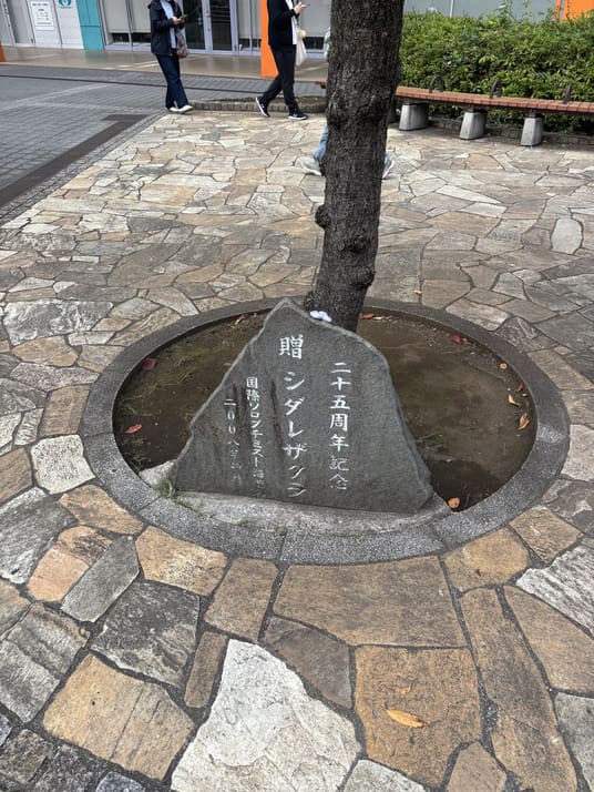 公園内の謎解きスポット