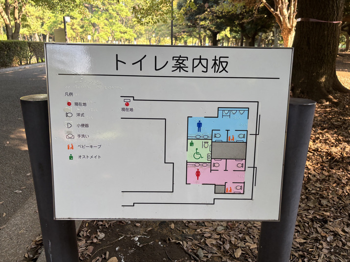 代々木公園で謎解き街歩きをする謎解きウォークの画像