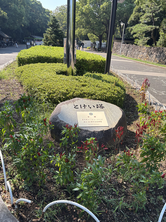 代々木公園で謎解き街歩きをする謎解きウォークの画像