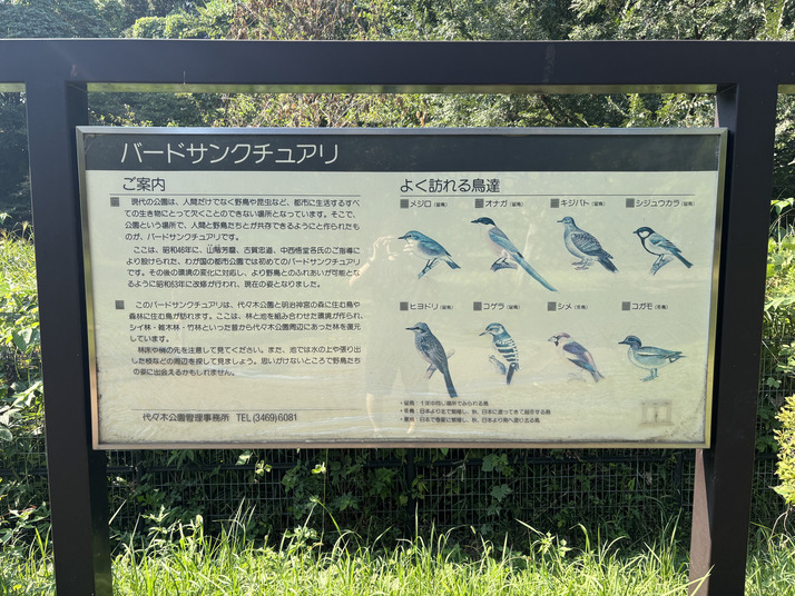 代々木公園で謎解き街歩きをする謎解きウォークの画像