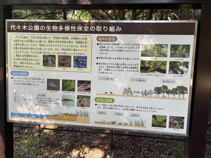 代々木公園で謎解き街歩きをする謎解きウォークの画像